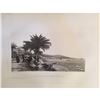 Image 2 : 1880's Photogravure, English Promenade, Nice