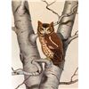 Image 1 : 1950 Menaboni Bird Pring, Screech Owl
