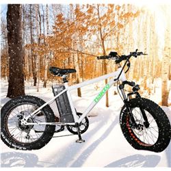 NAKTO BIG WHEEL E-BIKE MINI-CRUISER NEW 36N 10AH - WHITE WITH GREEN