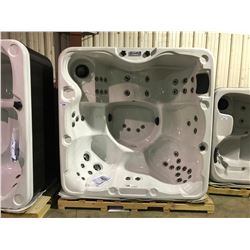 CAL SPA HOT TUB, LES SPAS, STERLING SILVER ARCY, 84X84 SMOKE BASE, 1 PILLOW, 46 STAR FIRE JETS,