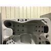 Image 3 : CAL SPA HOT TUB, PATIO PLUS SPAS, SIERRA ARCY, 84X64 SMOKE BASE, 3 PILLOWS, DELUXE SHELL COLOR