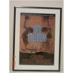 Poster-