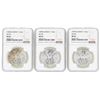 Image 1 : Lot of (3) Mexico 1 Onza Silver Libertad Coins NGC MS66