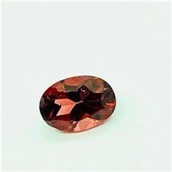 Genuine Garnet(1cts) , Suggested Retail Value $100