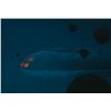 Image 2 : Voyage to the Bottom of the Sea Naval mine filming miniature prop.