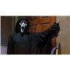 Image 2 : 'Ghostface' hero hooded shroud from Scream 2.
