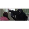 Image 3 : 'Ghostface' hero hooded shroud from Scream 2.