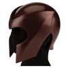 Image 2 : Ian McKellen 'Magneto' signature costume with (2) helmets from X-Men.