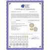 Image 2 : 0.70 CTW Mens Diamond 3D Circle Cluster Stud Earrings 10KT Yellow Gold - REF-49H5M
