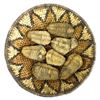 Image 1 : Tribal Basket & 7 Trilobite Fossils