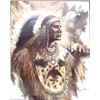 Image 1 : Large Framed Native American Chief Print, Manning