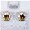 Image 1 : 10K Yellow Gold Citrine Stud (0.3ct) Mother Of Pearl Earrings, Made in Canada, Suggested Retail Valu