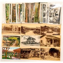 San Diego/Ramona, CA Postcards  #102372