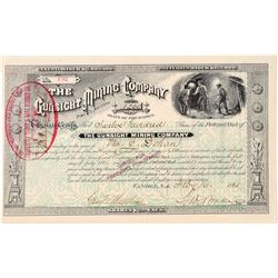 Gunsight Mining Company Stock Certificate  #100896