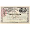 Image 1 : Gunsight Mining Company Stock Certificate  #100896