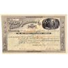 Image 1 : Ajo Mining & Development Co. Stock Certificate  #100893