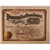 Image 1 : Tarantula Gold Mining Company Stock Certificate  #107732