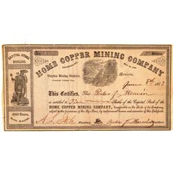 Home Copper Mining Company Stock Certificate  #101496