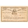 Image 1 : Montezuma Copper & Silver Mining Co. Stock Certificate  #101508