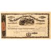 Image 1 : Alta California Copper Mining Co. Stock Certificate  #101494