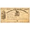 Image 1 : Nevada Gold, Silver and Copper Mining Co. Stock Certificate  #100764