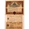Image 1 : Sierra and Nevada County Mining Stock Group  #110194