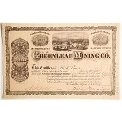 Greenleaf Mining Company Stock  #89429