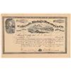 Image 1 : Colorado Mining & Discovery Stock  #108097