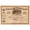 Image 1 : Montana Gold & Silver Mining Company Stock Certificate  #107734