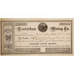 Leviathan Mining Company Stock  #90519