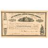Image 1 : Seminole Silver Mining Company Stock Certificate  #100963