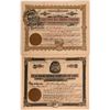 Image 1 : Two Rare Lida, Nevada Mining Stocks  #110084