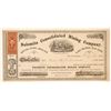 Image 1 : Dolomite Consolidated Mining Company Stock Certificate  #107033