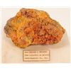 Image 1 : Orpiment & Realgar, Humboldt Co., Nevada  #103075