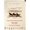 Image 1 : Reno, NV City Centennial Poster  #60806