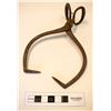 Image 1 : Ice Tongs  #110655