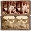 Image 1 : Mining Stereoviews (2)  #90302