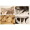 Image 1 : Coolidge Dam Postcards  #63823