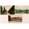 Image 1 : Hopland, CA Postcards (3)  #101796