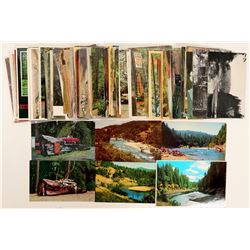 Redwood Highway Postcards  #90788