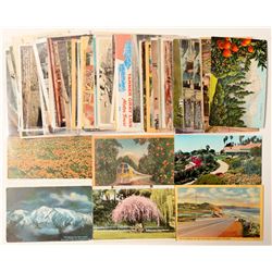 Los Angeles, CA Postcard Collection  #103292