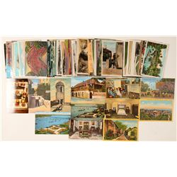 Florida Postcard Collection  #101698