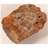 Image 1 : High-Grade Gold Ore, Diamondfield, Nevada  #103058