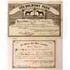 Image 1 : Belmont Park Association Horse Racing Certificate 1877  #110209