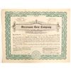 Image 1 : Stevenson Gear Co.  #89647