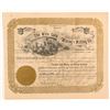 Image 1 : Wire Gold Mining & Milling Co. Stock Certificate  #103500