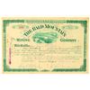 Image 1 : Bald Mountain Mining Company Stock Certificate  #91572