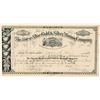Image 1 : Horse Shoe Gold & Silver Mining Co. Stock Certificate  #91735