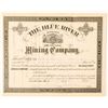 Image 1 : Blue River Mining Co. Stock Certificate  #91558