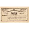 Image 1 : Silver Thread Consolidated Mining Co. Stock Certificate  #104320